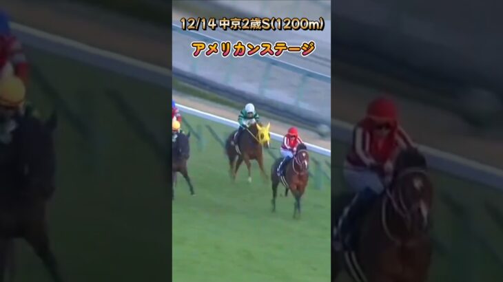 [これはスピード凄そう!)#競馬 #競馬予想 #馬 #shorts