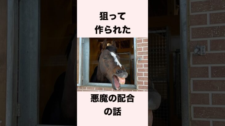 【 競馬 】オジュウチョウサンの雑学② 【 競馬の雑学 】【 ウマ娘 】 #競馬 #雑学 #オジュウチョウサン  #ウマ娘 #shorts