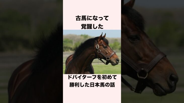 【 競馬 】アドマイヤムーンの雑学 【 競馬の雑学 】【 ウマ娘 】 #競馬 #雑学 #アドマイヤムーン  #ウマ娘 #shorts