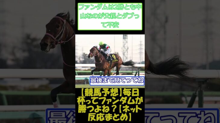 【競馬予想】毎日杯ってファンダムが勝つよね？【ネット反応まとめ】　#shorts