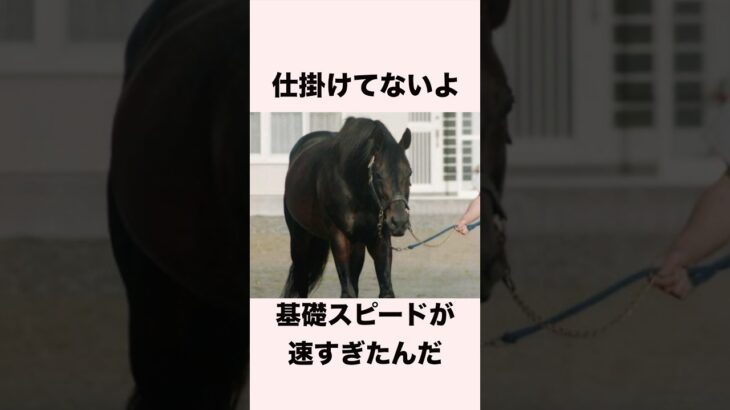 【 競馬 】マルゼンスキーの雑学 【 競馬の雑学 】【 ウマ娘 】 #競馬 #雑学 #マルゼンスキー  #ウマ娘 #shorts