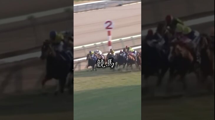 競馬しない人にこそ見て欲しい動画！#shorts #競馬 #horse #中央競馬予想 #凱旋門賞 #チャンネル登録お願いします #いいねお願いします