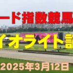 【ダイオライト記念２０２５】東大式スピード指数による競馬予想