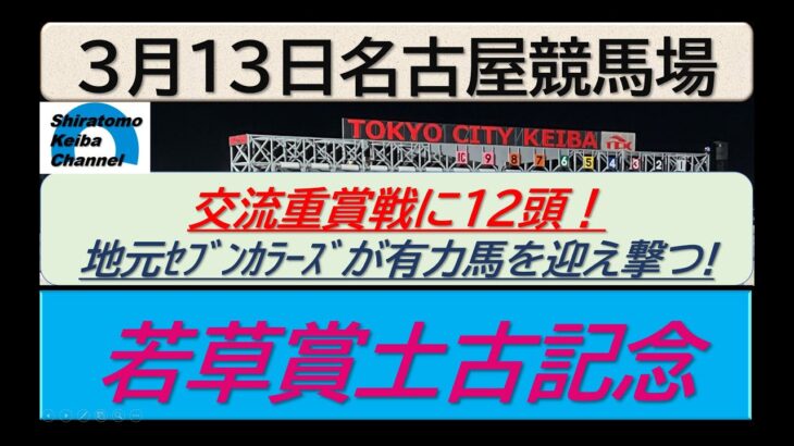 【競馬予想】若草賞土古記念～２０２５年３月１３日 名古屋競馬場 ：３－３９