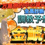 【調教予想】金鯱賞を天童なこが大予想‼️的中の波キテルっ✨🌊