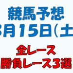 【競馬予想】３月１５日（土）全レース予想／厳選３レース(平場予想・重賞予想)