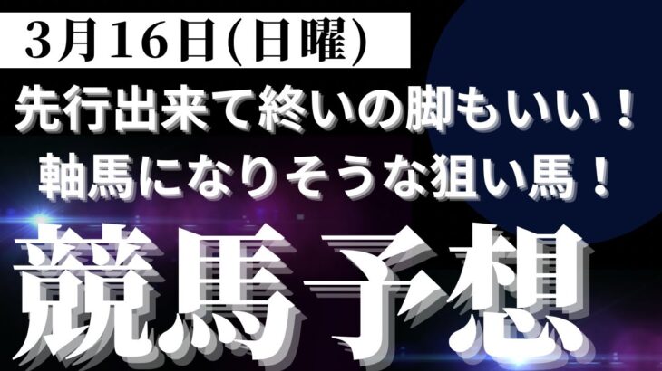 【競馬予想】３月１６日（日曜）平場勝負レース該当馬７レース！道中は前でレースを運びそうで終いの脚もしっかりした狙い馬を集めました！