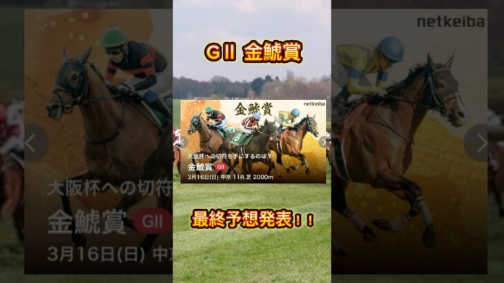 金鯱賞最終予想！！#競馬 #競馬予想 #競馬予想動画 #中央競馬予想 #爆益 #金鯱賞