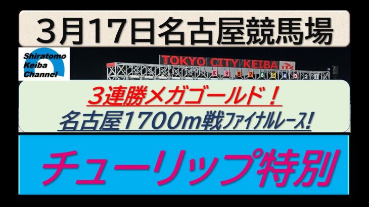 【競馬予想】チューリップ特別～２０２５年３月１７日 名古屋競馬場 ：３－５１