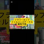 フラワーカップ！ファルコンステークスの競馬予想してみた！#競馬予想 #阪神大賞典 #愛知杯 #武豊#川田将雅 #ルメール