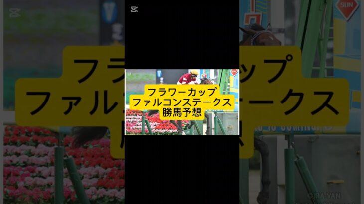 フラワーカップ！ファルコンステークスの競馬予想してみた！#競馬予想 #阪神大賞典 #愛知杯 #武豊#川田将雅 #ルメール