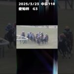 愛知杯　もちおの当たらない予想　#競馬 #競馬予想 #競馬予想動画 #愛知杯