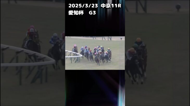 愛知杯　もちおの当たらない予想　#競馬 #競馬予想 #競馬予想動画 #愛知杯
