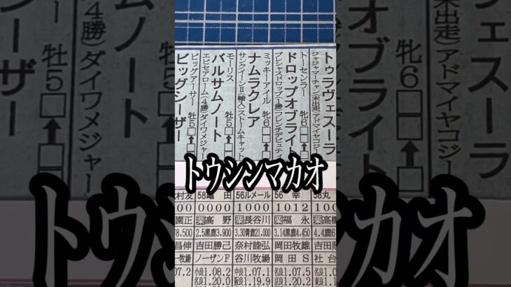 #競馬  #競馬予想  #高松宮記念   勝つのはこの馬だ