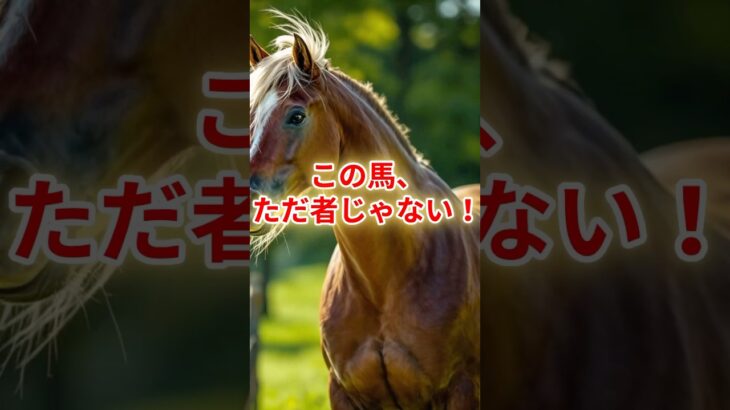 中山牝馬ステークス注目馬！　#競馬雑学 #競馬 #中山牝馬ステークス #馬好きな人と繋がりたい