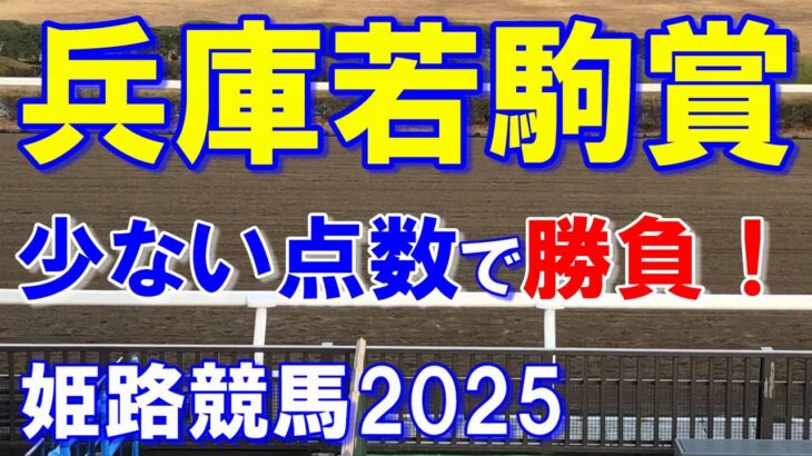 兵庫若駒賞２０２５【姫路競馬予想】先手必勝！？