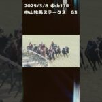 中山牝馬ステークス　もちおの当たらない予想　#競馬 #競馬予想 #競馬予想動画 #中央競馬予想 #中山牝馬ステークス