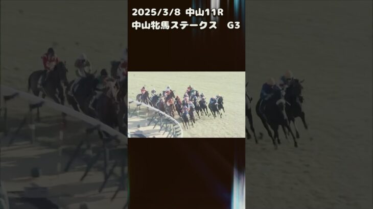 中山牝馬ステークス　もちおの当たらない予想　#競馬 #競馬予想 #競馬予想動画 #中央競馬予想 #中山牝馬ステークス