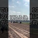 浦和11Rの武蔵野国OPのサイン #競馬 #競馬予想