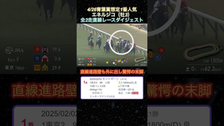 【エネルジコ】青葉賞想定1番人気！全2走ダイジェスト  #競馬  #青葉賞  #エネルジコ  #shorts