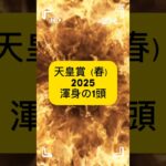 天皇賞（春）渾身の1頭は想定３番人気のジャスティンパレスです！大阪杯に引き続き本命です！#天皇賞春#天皇賞春2025#競馬#中央競馬予想 #ジャスティンパレス #渾身の1頭