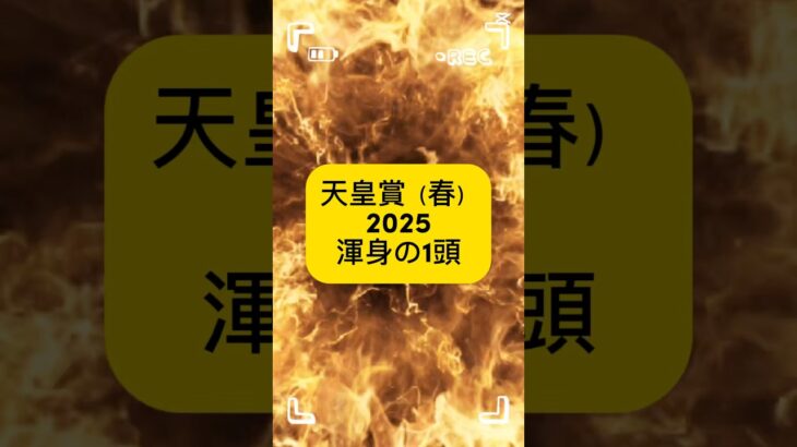 天皇賞（春）渾身の1頭は想定３番人気のジャスティンパレスです！大阪杯に引き続き本命です！#天皇賞春#天皇賞春2025#競馬#中央競馬予想 #ジャスティンパレス #渾身の1頭
