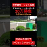 【大勝負】トリプル馬単ダブルキャリーオーバーに20万勝負した結果… #競馬 #競馬予想 #大井競馬 #jra #地方競馬 #トリプル馬単 #ウマ娘 #ウマ娘プリティーダービー #ギャンブル