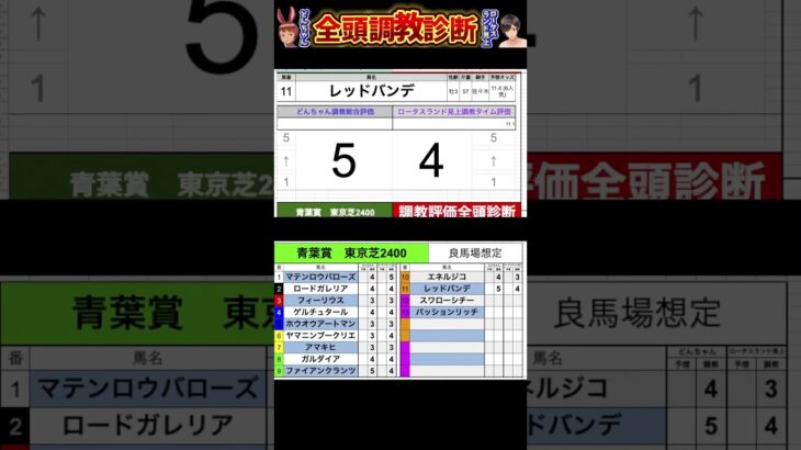 #青葉賞2025 #競馬予想ハイライト #全頭診断  #レッドバンデ　#パッションリッチ　#スワローシチー