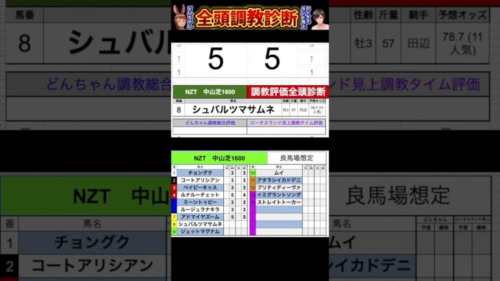 #ニュージーランドトロフィー2025 #シュバルツマサムネ　#競馬予想ハイライト #全頭診断  #ルージュラナキラ　#アドマイヤズーム　#ジェットマグナム