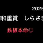 【地方競馬予想】　浦和重賞　しらさぎ賞　予想　2025