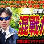 【青葉賞2025】混戦だが！！穴馬２頭をピックアップ！！この馬が来れば大万馬券が…。【競馬予想/全頭診断】