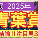 【青葉賞2025】蓮の競馬予想(最終結論)〜桜花賞の完璧的中に続け