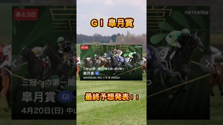 皐月賞最終予想！！#競馬 #競馬予想 #競馬予想動画 #爆益 #皐月賞 #皐月賞2025
