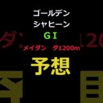 ドバイゴールデンシャヒーン2025の予想 #Shorts #競馬予想 #ドバイ #ゴールデンシャヒーン