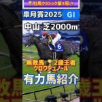 皐月賞2025 有力馬紹介！ #競馬 #競馬予想 #馬 #クロワデュノール #北村友一 #三冠馬 #名馬 #g1 #short #shorts
