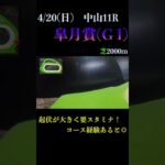 【買っちゃえばいいじゃん】皐月賞(ＧⅠ) 2025 #競馬予想 #win5
