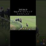 2025,04,19中山グランドジャンプエコロジュエル#競馬 #競馬予想 #馬 #shorts