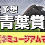【青葉賞2025】追い切りから買いたい1頭！これまでの中で一番！？