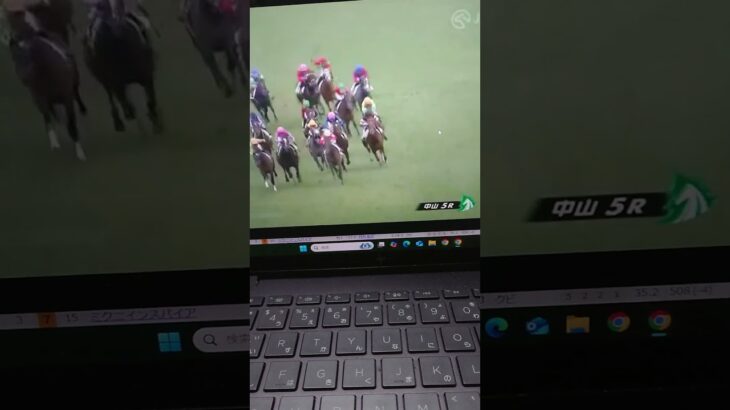 【テレビ東京杯青葉賞予想】懲りないおじさんの競馬予想 2025年4月25日 #青葉賞 #競馬予想