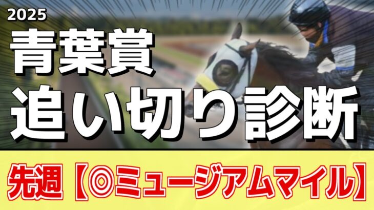 追い切り徹底解説！【青葉賞2025】ファイアンクランツ、エネルジコなどの状態はどうか？調教S評価は2頭！