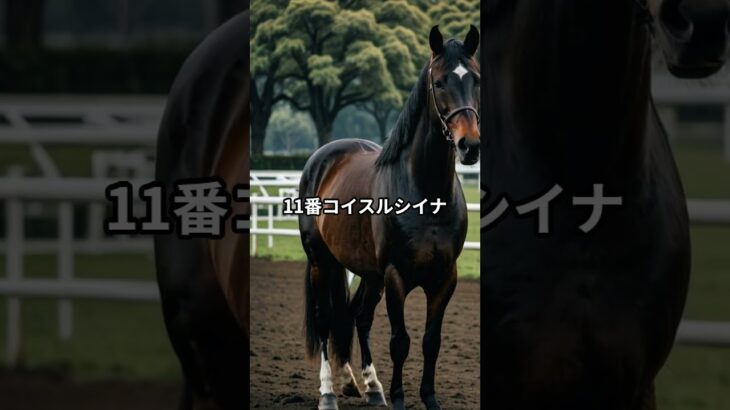 4月11日の川崎5R推奨馬 #競馬 #川崎競馬