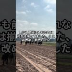 4月12日の阪神4R推奨馬 #競馬 #競馬予想