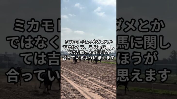 4月17日の大井8R推奨馬 #競馬 #大井競馬