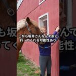 4月20日の中山3R推奨馬 #競馬 #競馬予想
