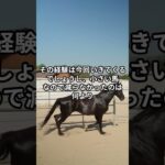 4月20日の福島5R推奨馬 #競馬 #競馬予想