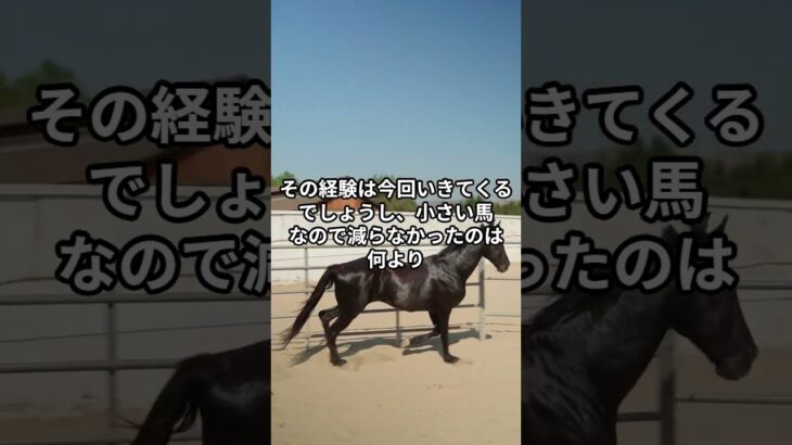4月20日の福島5R推奨馬 #競馬 #競馬予想