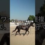 4月25日の浦和12R推奨馬 #競馬 #競馬予想