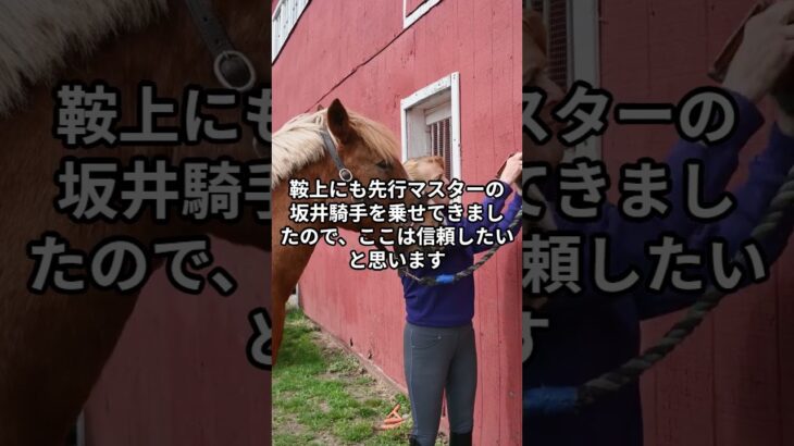 4月26日の京都1R推奨馬 #競馬 #競馬予想