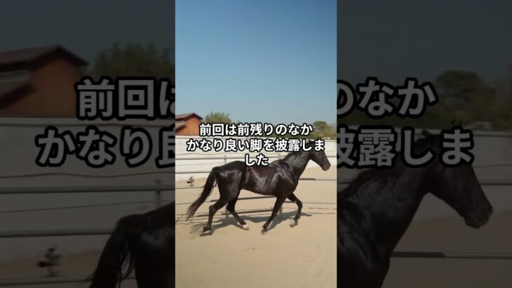 4月26日の東京4R推奨馬 #競馬 #競馬予想