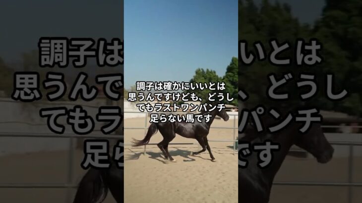 4月29日の園田1R推奨馬 #競馬 #園田競馬